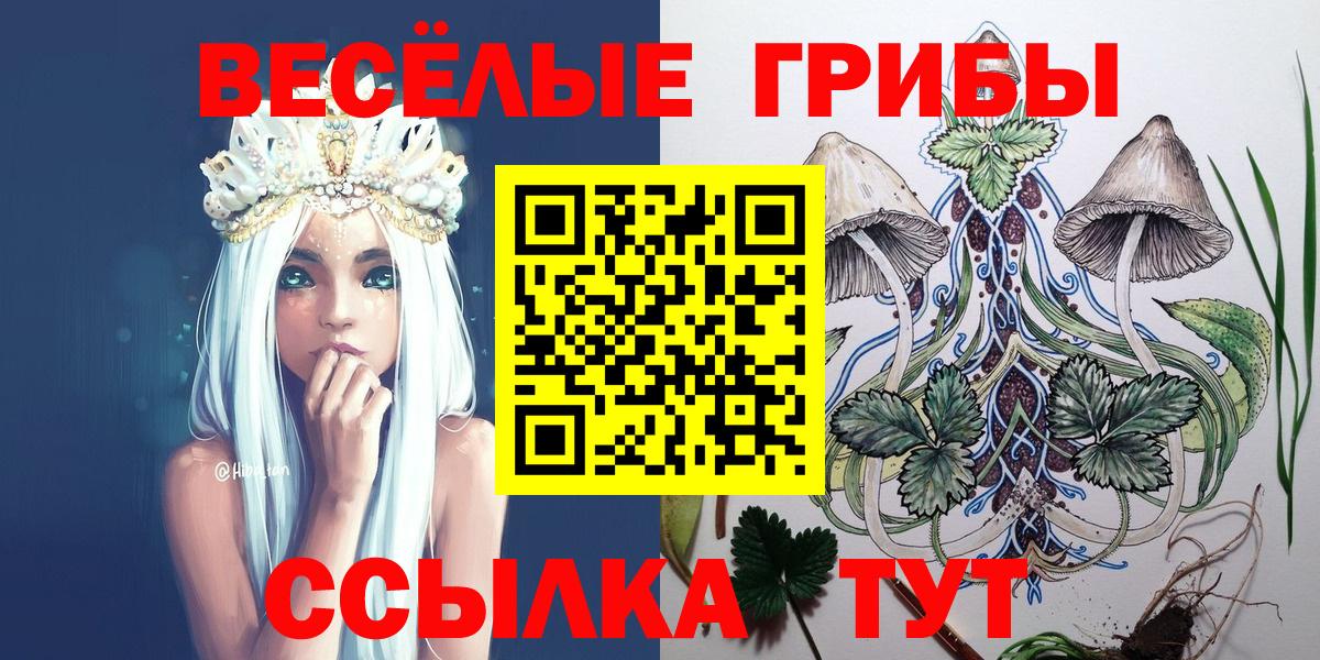 Галлюциногенные грибы Magic Shrooms Ялта
