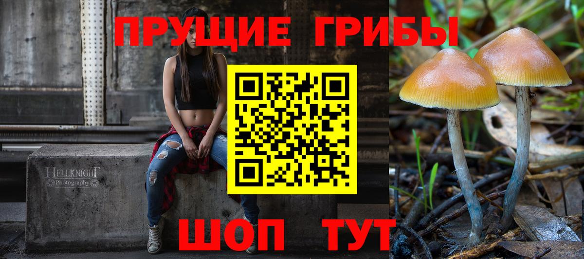 Галлюциногенные грибы прущие грибы  Вход с VPN  где можно купить   Ялта 